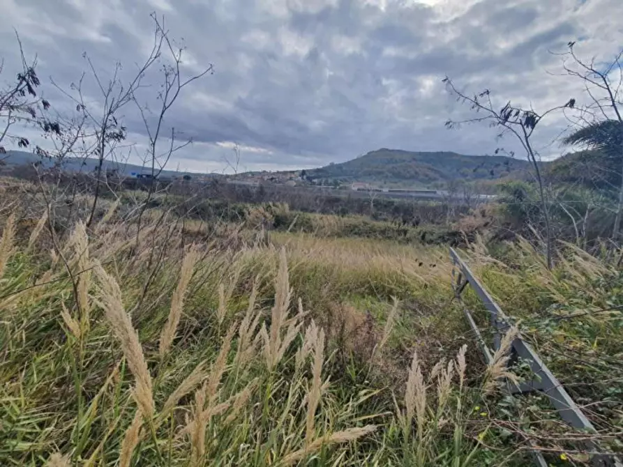 Immagine 5 di Terreno in vendita  in località Guidacciari, N. snc a Tiriolo