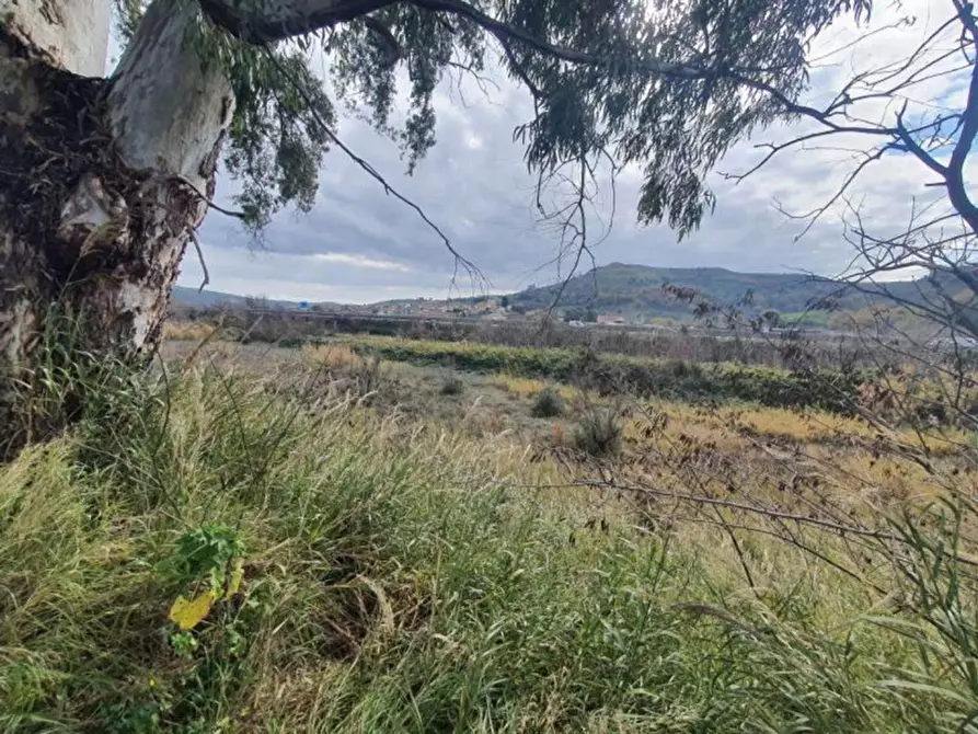 Immagine 6 di Terreno in vendita  in località Guidacciari, N. snc a Tiriolo