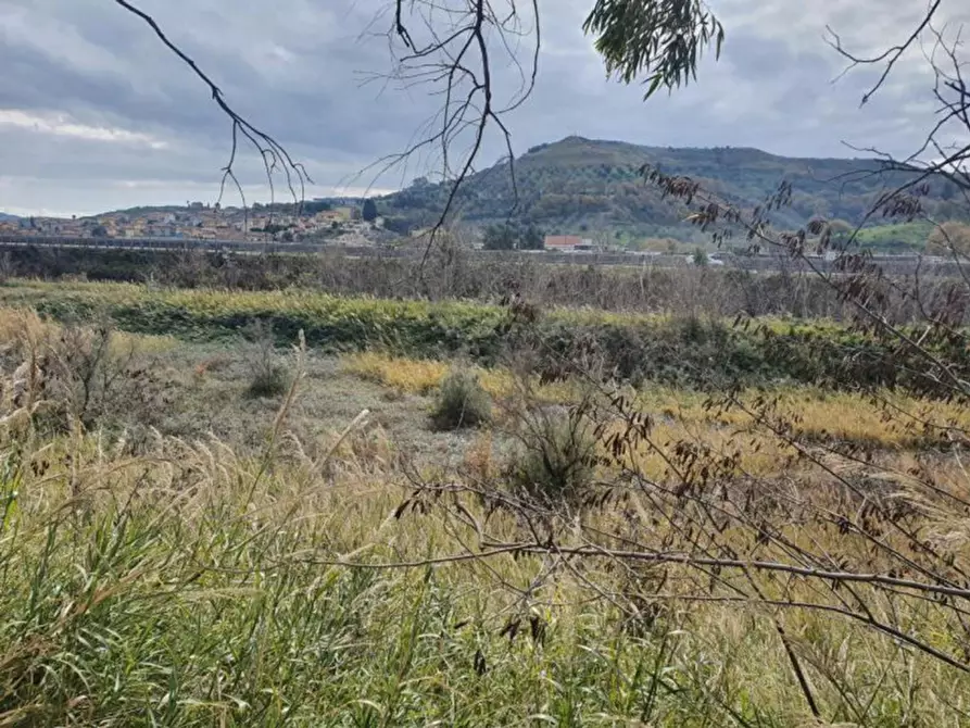 Immagine 7 di Terreno in vendita  in località Guidacciari, N. snc a Tiriolo
