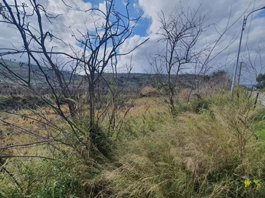Immagine 8 di Terreno in vendita  in località Guidacciari, N. snc a Tiriolo