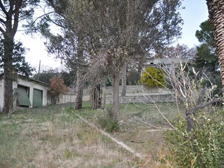 Immagine 8 di Palazzo in vendita  in località San Pietro, N. snc a Biccari