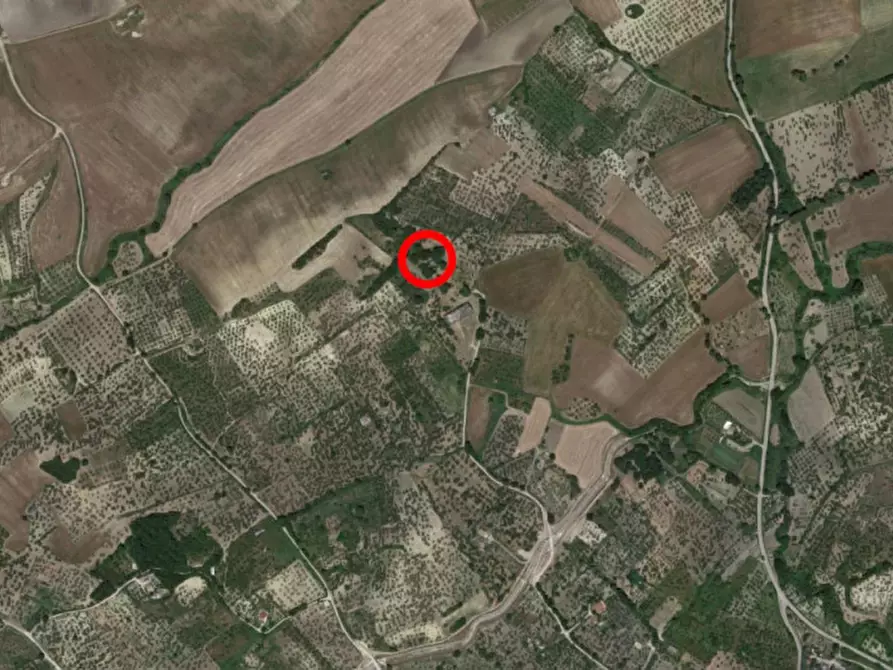 Immagine 17 di Palazzo in vendita  in località San Pietro, N. snc a Biccari