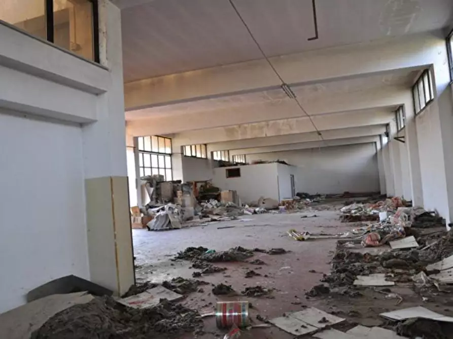 Immagine 5 di Capannone industriale in vendita  in località San Pietro, N. snc a Biccari