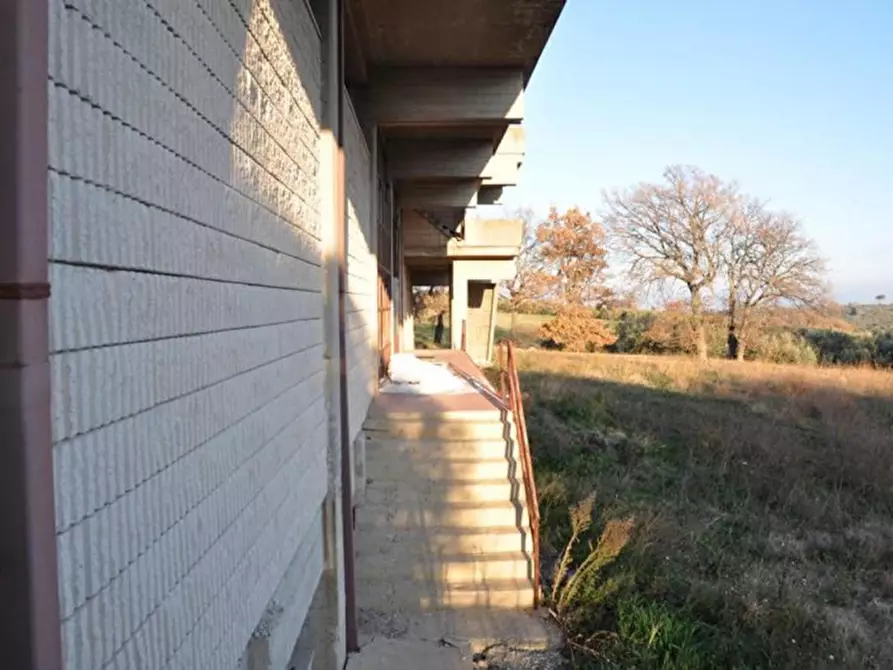 Immagine 11 di Capannone industriale in vendita  in località San Pietro, N. snc a Biccari