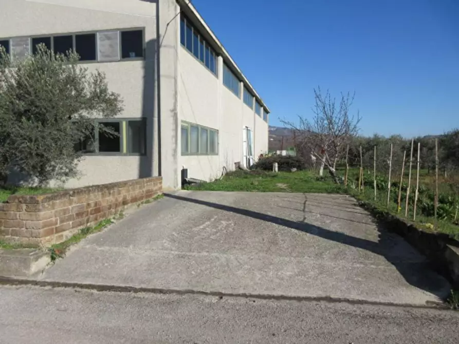 Immagine 3 di Capannone industriale in vendita  in contrada San Giacomo in Corsano, N. snc a Montecalvo Irpino