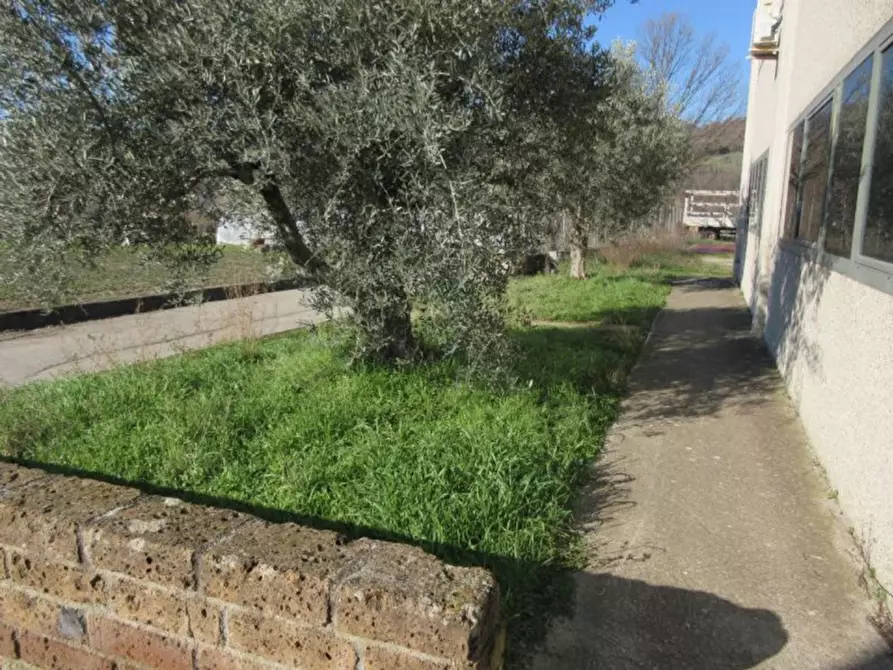 Immagine 5 di Capannone industriale in vendita  in contrada San Giacomo in Corsano, N. snc a Montecalvo Irpino