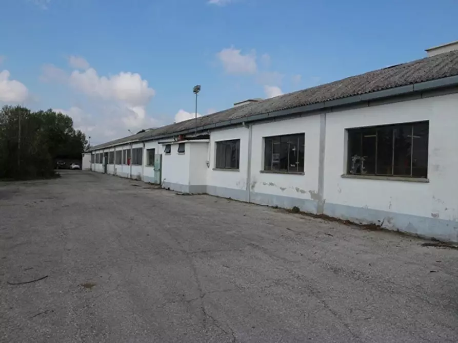 Immagine 4 di Capannone industriale in vendita  in Via San Giovanni, N. snc a Belvedere Ostrense