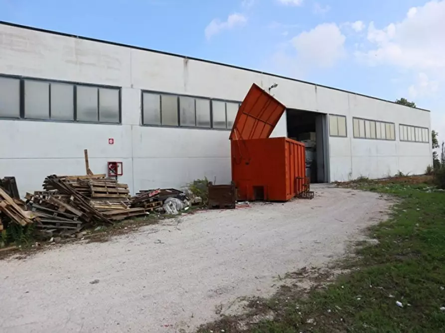 Immagine 5 di Capannone industriale in vendita  in Via San Giovanni, N. snc a Belvedere Ostrense