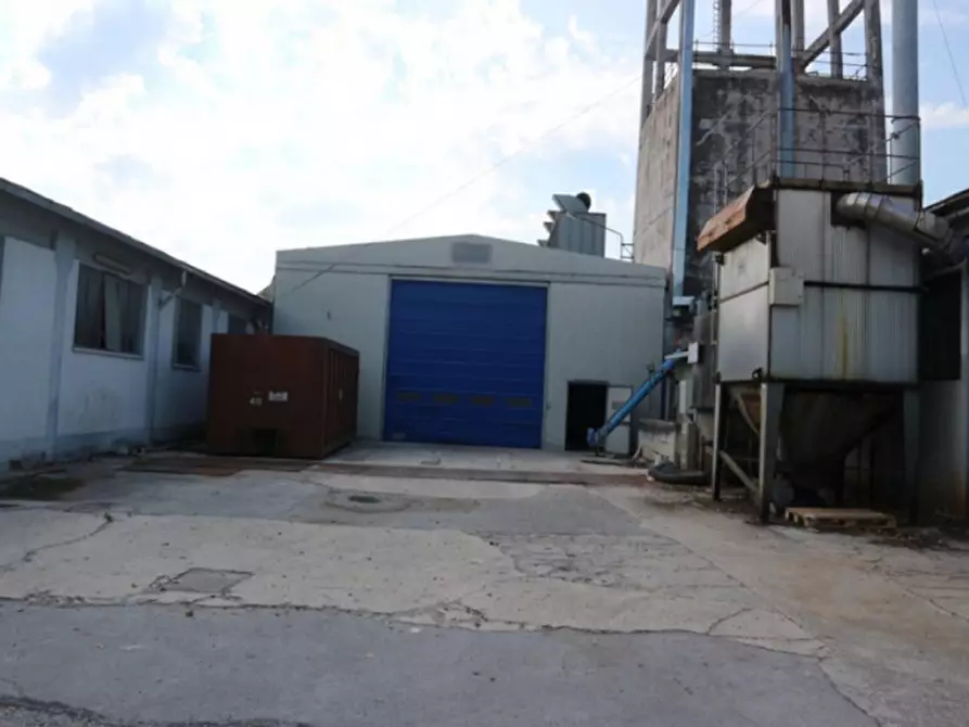 Immagine 7 di Capannone industriale in vendita  in Via San Giovanni, N. snc a Belvedere Ostrense