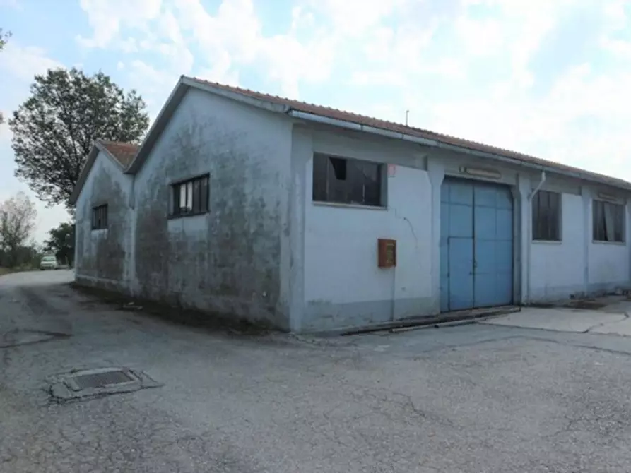 Immagine 8 di Capannone industriale in vendita  in Via San Giovanni, N. snc a Belvedere Ostrense