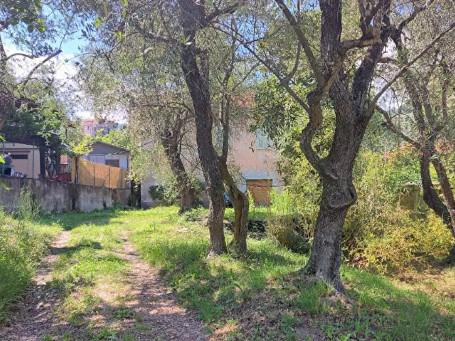 Immagine 15 di Rustico / casale in vendita  in Via Trieste, N. snc a Pietrabruna