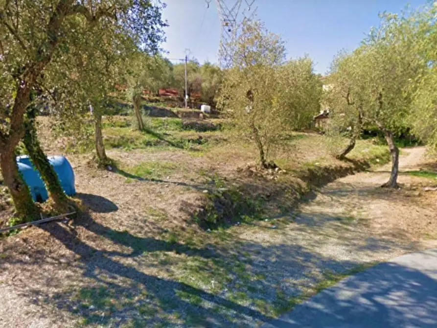 Immagine 1 di Terreno in vendita  in Via Trieste, N. snc a Pietrabruna