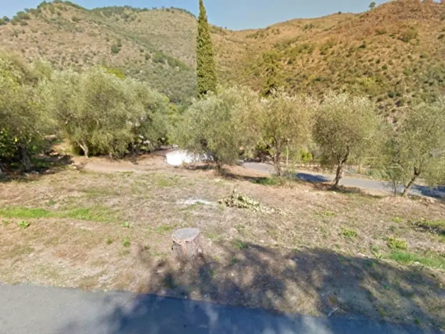 Immagine 2 di Terreno in vendita  in Via Trieste, N. snc a Pietrabruna
