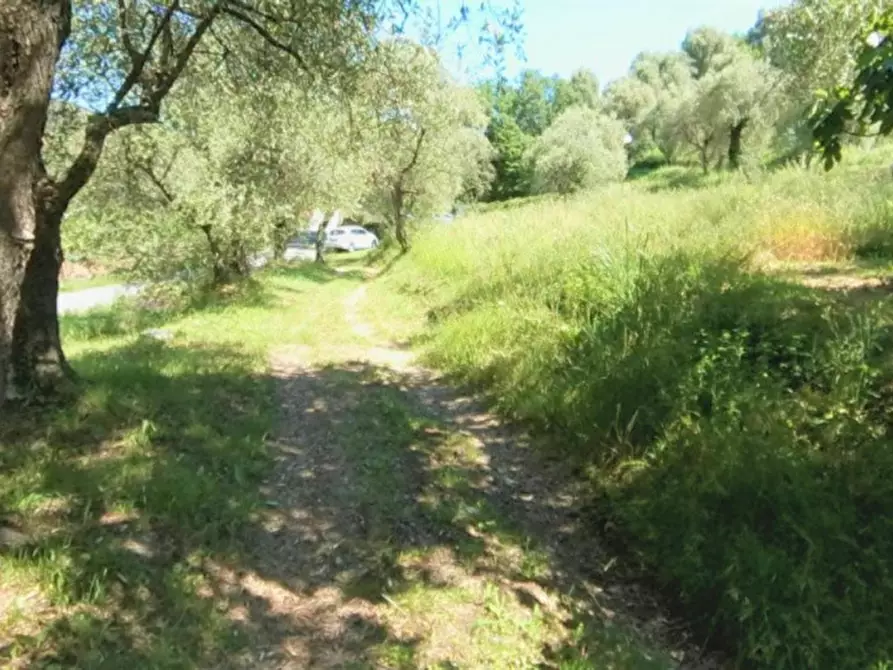 Immagine 3 di Terreno in vendita  in Via Trieste, N. snc a Pietrabruna