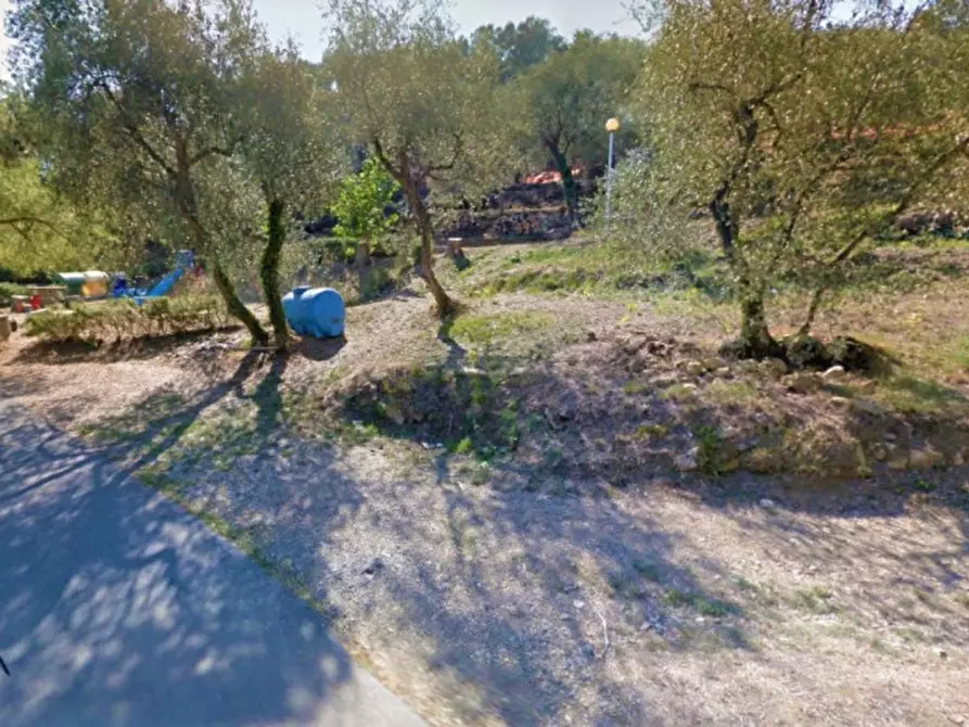 Immagine 4 di Terreno in vendita  in Via Trieste, N. snc a Pietrabruna