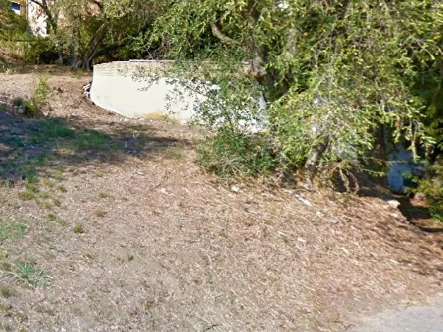 Immagine 5 di Terreno in vendita  in Via Trieste, N. snc a Pietrabruna