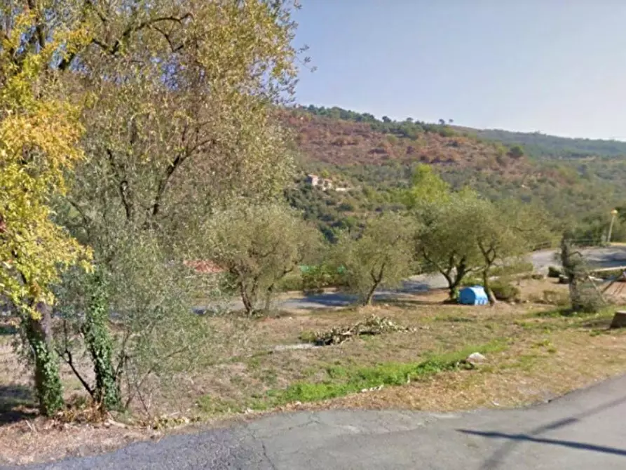 Immagine 6 di Terreno in vendita  in Via Trieste, N. snc a Pietrabruna