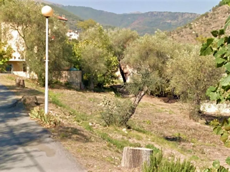 Immagine 7 di Terreno in vendita  in Via Trieste, N. snc a Pietrabruna