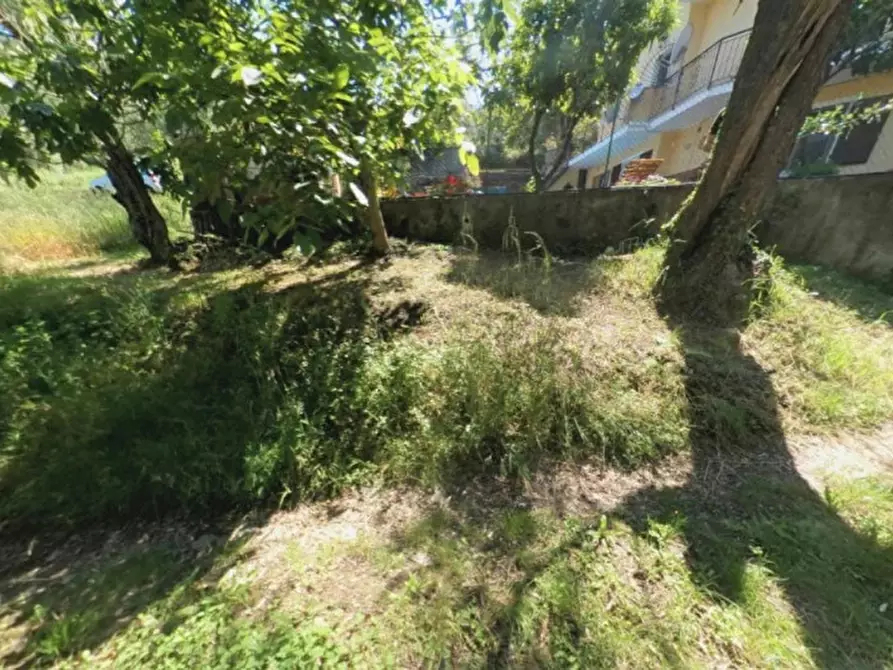 Immagine 8 di Terreno in vendita  in Via Trieste, N. snc a Pietrabruna