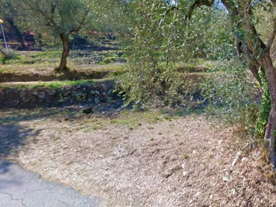 Immagine 9 di Terreno in vendita  in Via Trieste, N. snc a Pietrabruna