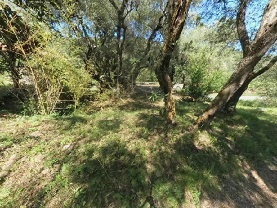 Immagine 10 di Terreno in vendita  in Via Trieste, N. snc a Pietrabruna