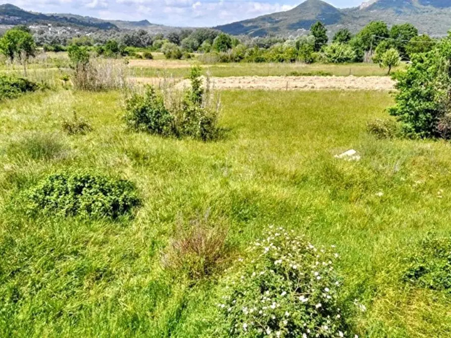 Immagine 16 di Terreno in vendita  in Loc. Nunziatella, N. snc a Isernia