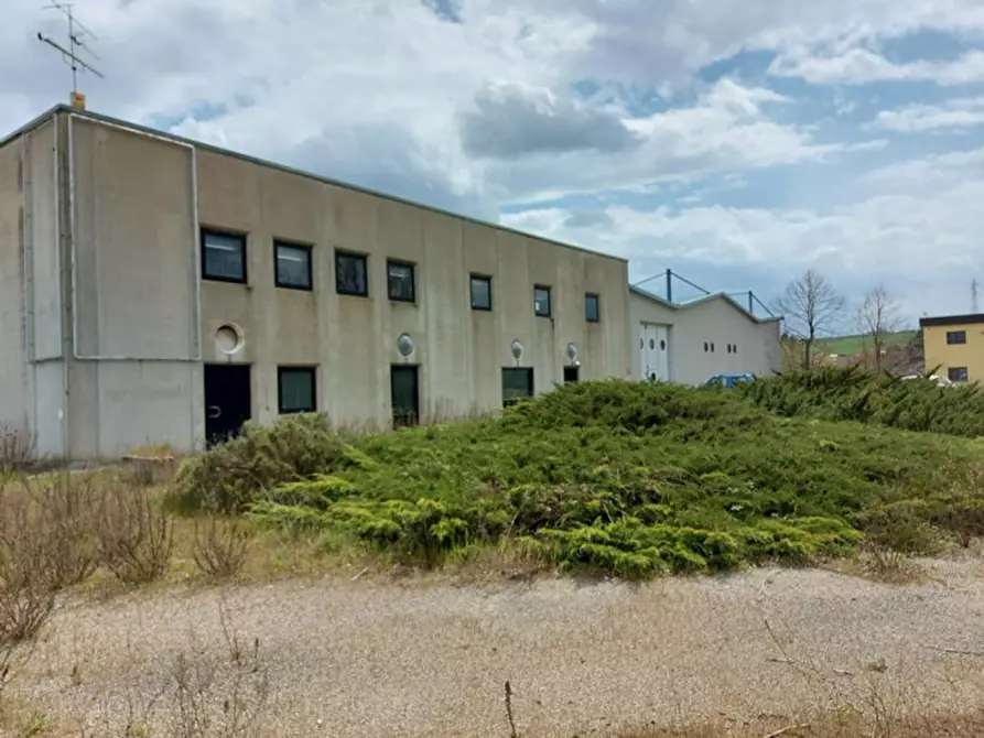 Immagine 29 di Capannone industriale in vendita  in Loc. San Biagio della Valle, N. snc a Marsciano