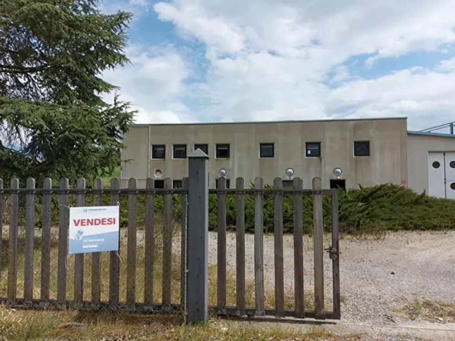 Immagine 30 di Capannone industriale in vendita  in Loc. San Biagio della Valle, N. snc a Marsciano