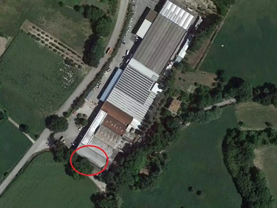 Immagine 2 di Capannone industriale in vendita  in Via Riva Tarugo, N. 33 a Sant'ippolito