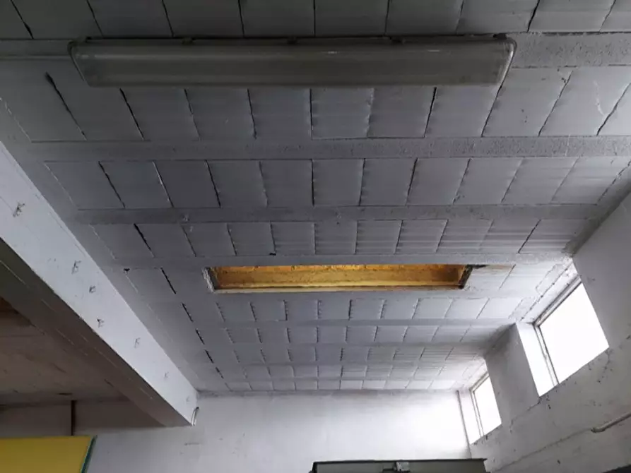 Immagine 15 di Capannone industriale in vendita  in Via Riva Tarugo, N. 33 a Sant'ippolito