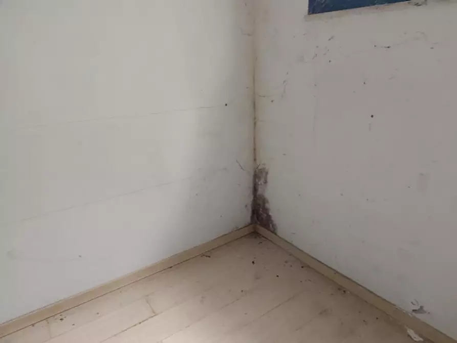 Immagine 24 di Capannone industriale in vendita  in Via Riva Tarugo, N. 33 a Sant'ippolito