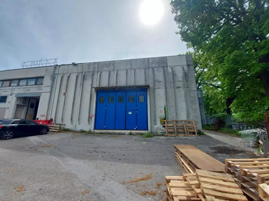 Immagine 27 di Capannone industriale in vendita  in Via Riva Tarugo, N. 33 a Sant'ippolito