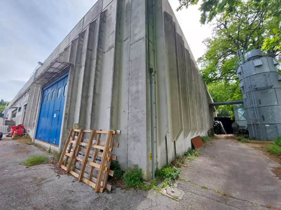 Immagine 28 di Capannone industriale in vendita  in Via Riva Tarugo, N. 33 a Sant'ippolito