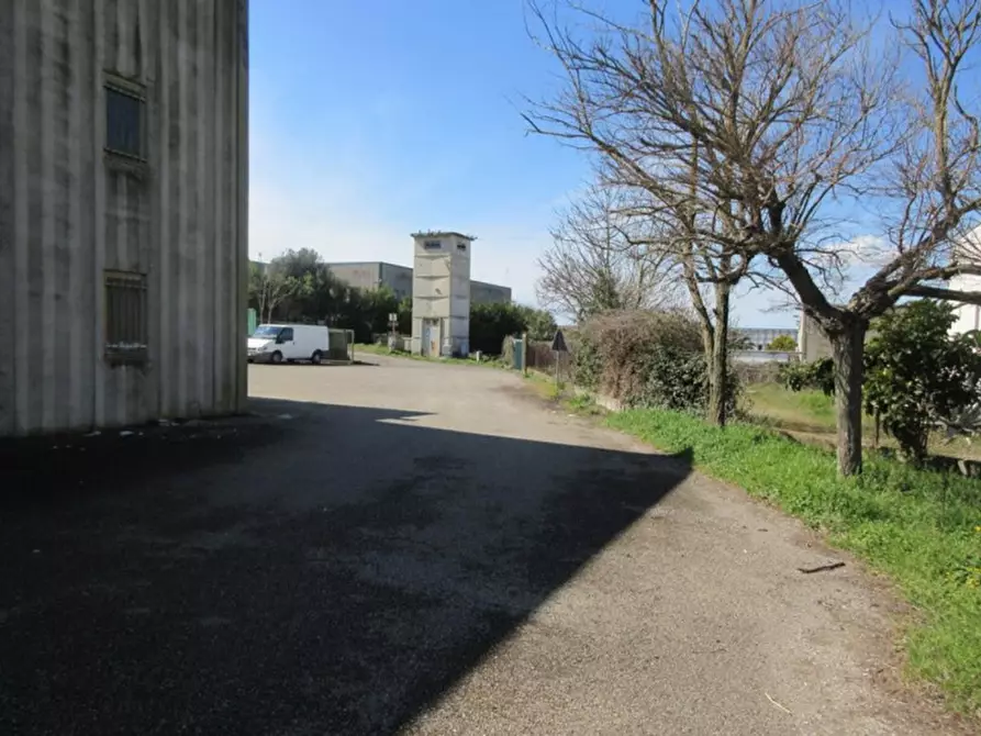 Immagine 8 di Capannone industriale in vendita  in Via Tuscanese, N. snc a Viterbo
