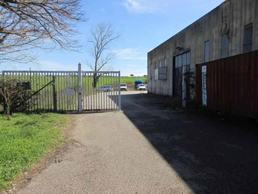 Immagine 9 di Capannone industriale in vendita  in Via Tuscanese, N. snc a Viterbo