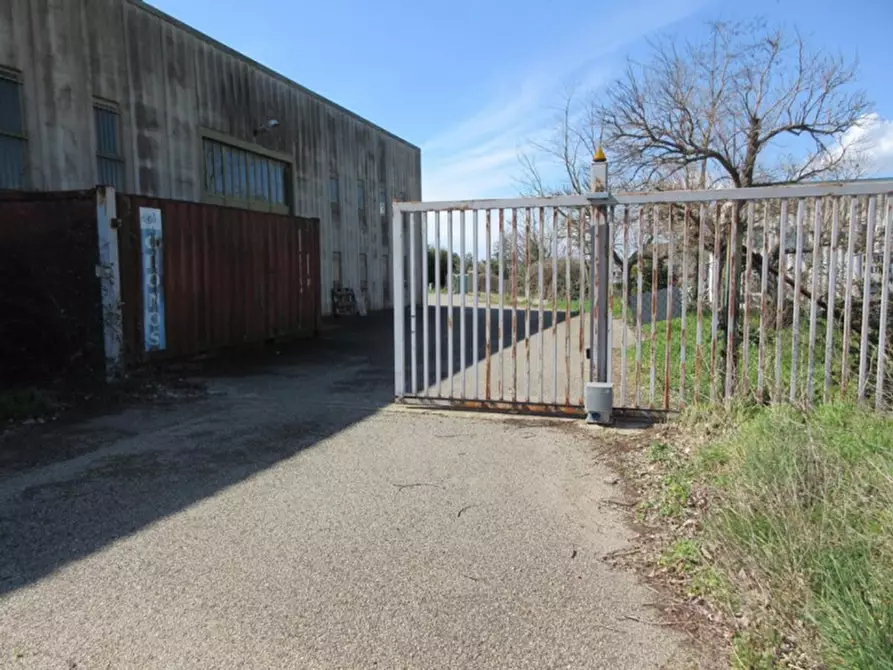 Immagine 10 di Capannone industriale in vendita  in Via Tuscanese, N. snc a Viterbo