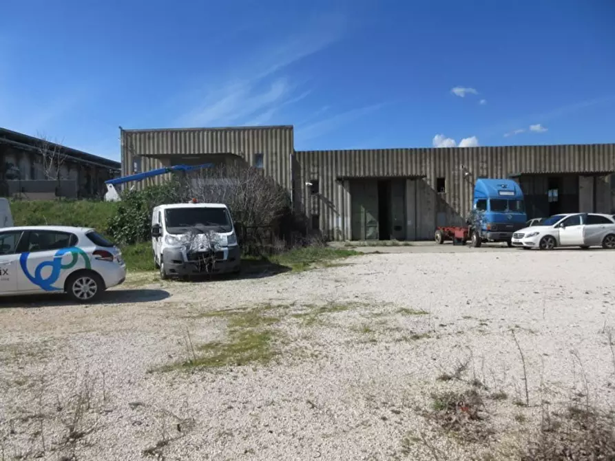 Immagine 16 di Capannone industriale in vendita  in Via Tuscanese, N. snc a Viterbo