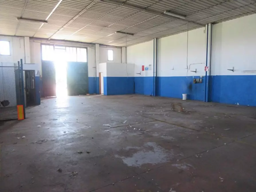 Immagine 22 di Capannone industriale in vendita  in Via Tuscanese, N. snc a Viterbo