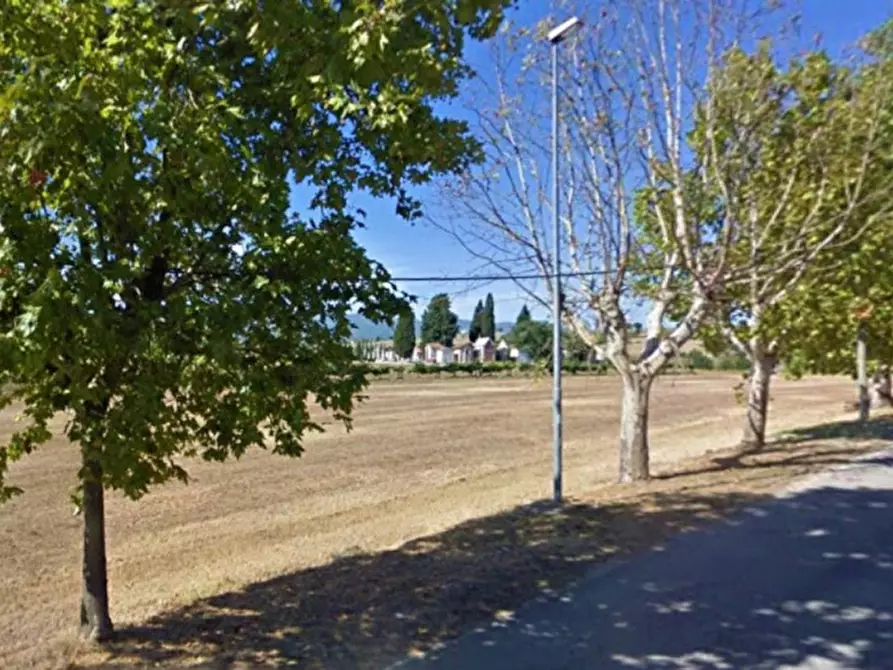 Immagine 4 di Terreno in vendita  in Località Madonna della Stella, N. snc a Montefalco