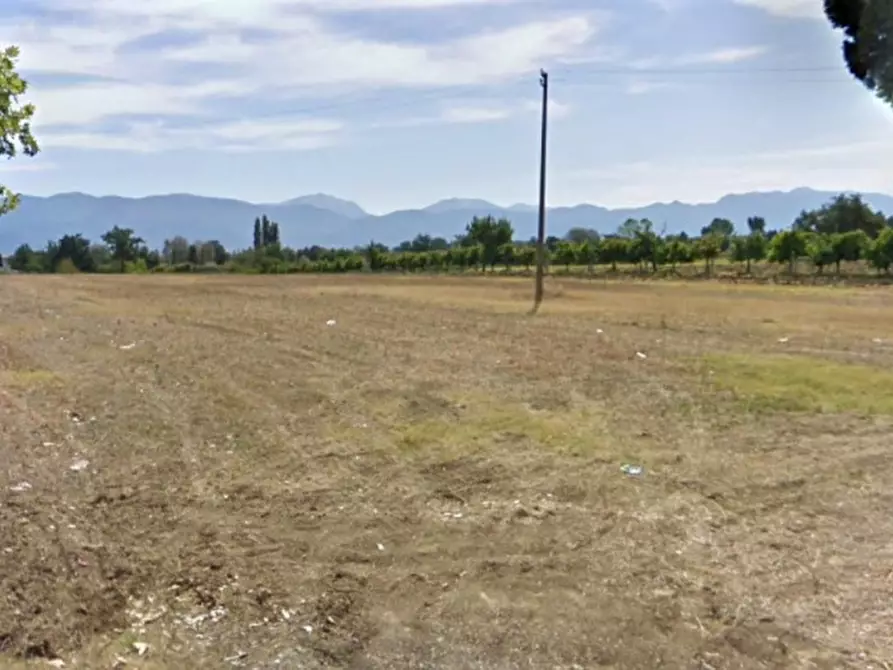 Immagine 6 di Terreno in vendita  in Località Madonna della Stella, N. snc a Montefalco