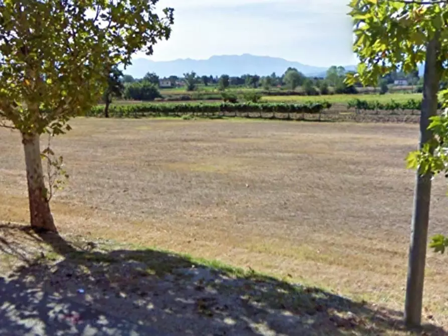 Immagine 7 di Terreno in vendita  in Località Madonna della Stella, N. snc a Montefalco