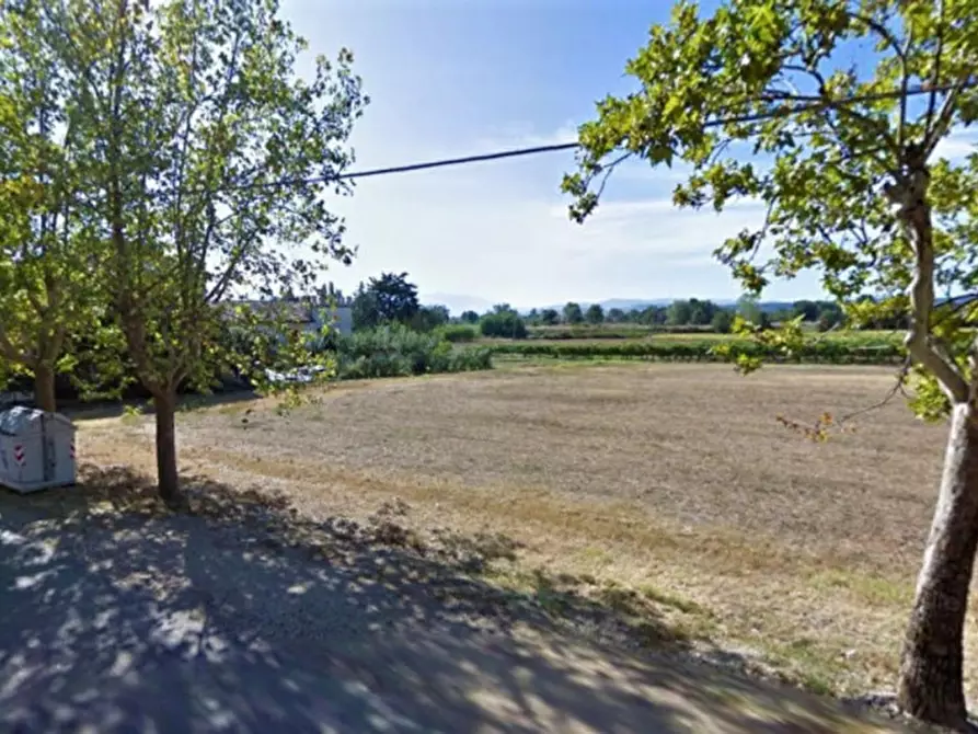 Immagine 16 di Terreno in vendita  in Località Madonna della Stella, N. snc a Montefalco