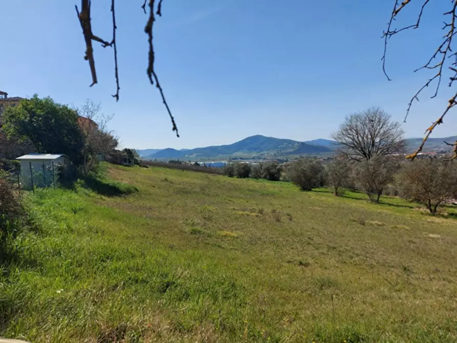 Immagine 5 di Terreno in vendita  in località Villa, N. snc a Magione