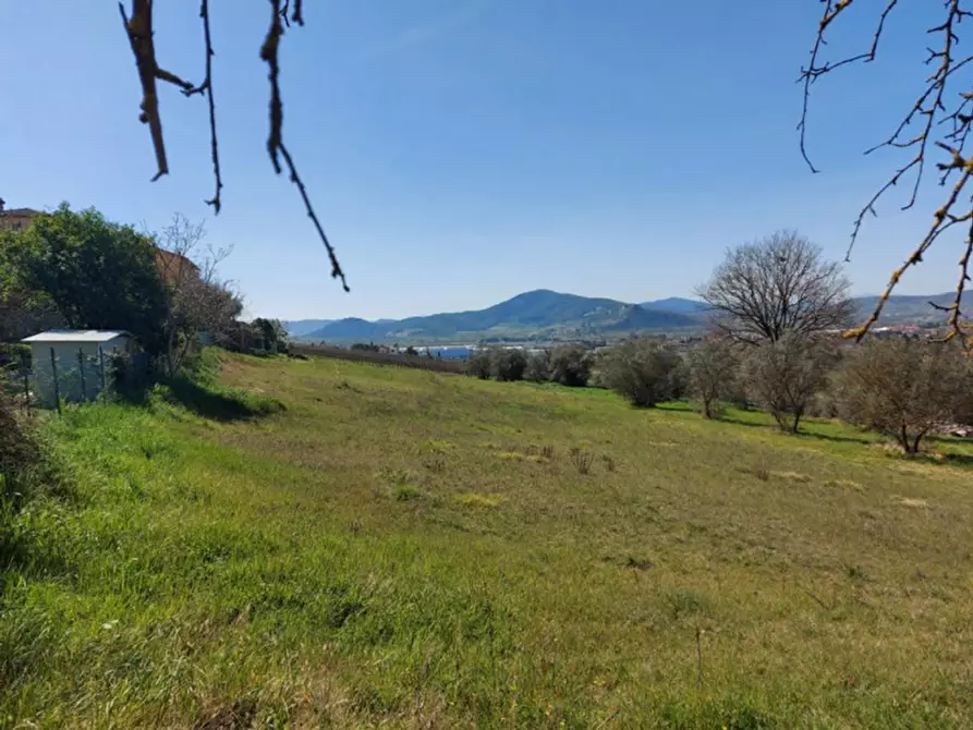 Immagine 7 di Terreno in vendita  in località Villa, N. snc a Magione