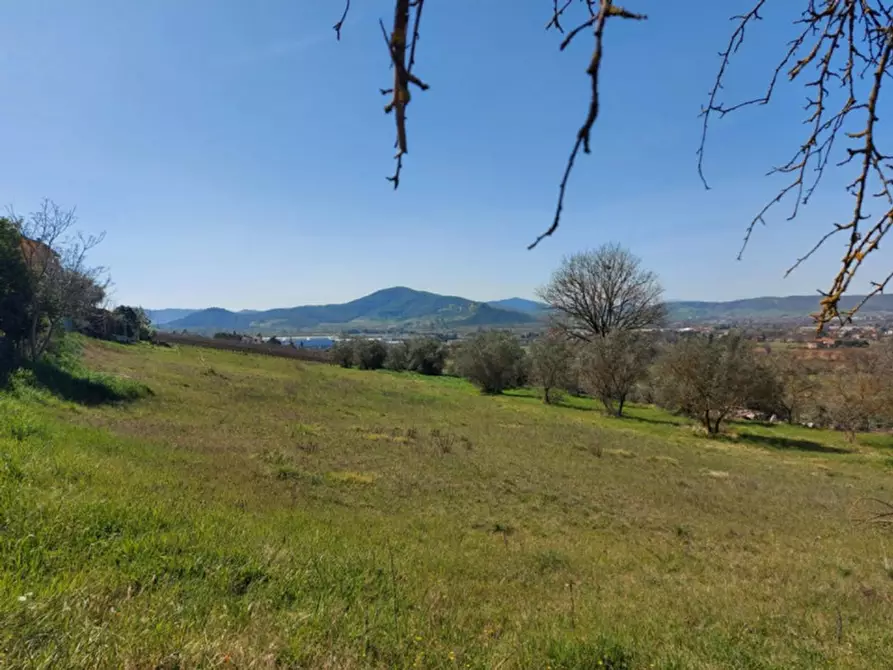 Immagine 10 di Terreno in vendita  in località Villa, N. snc a Magione