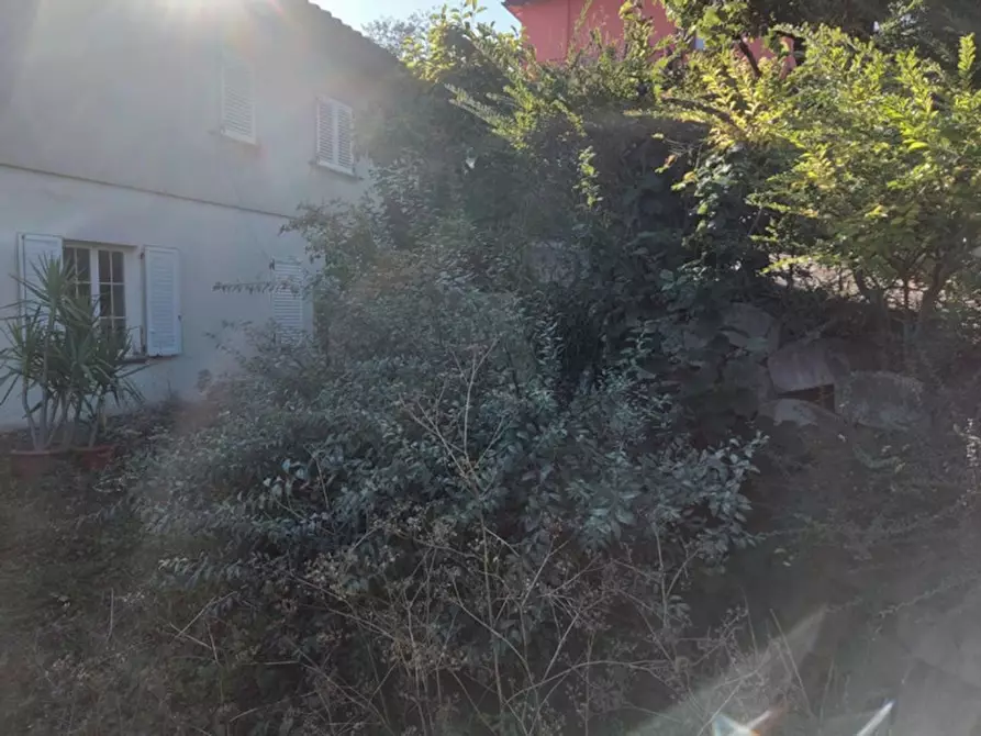 Immagine 11 di Appartamento in vendita  in Via Mazzini, N. snc a Muccia