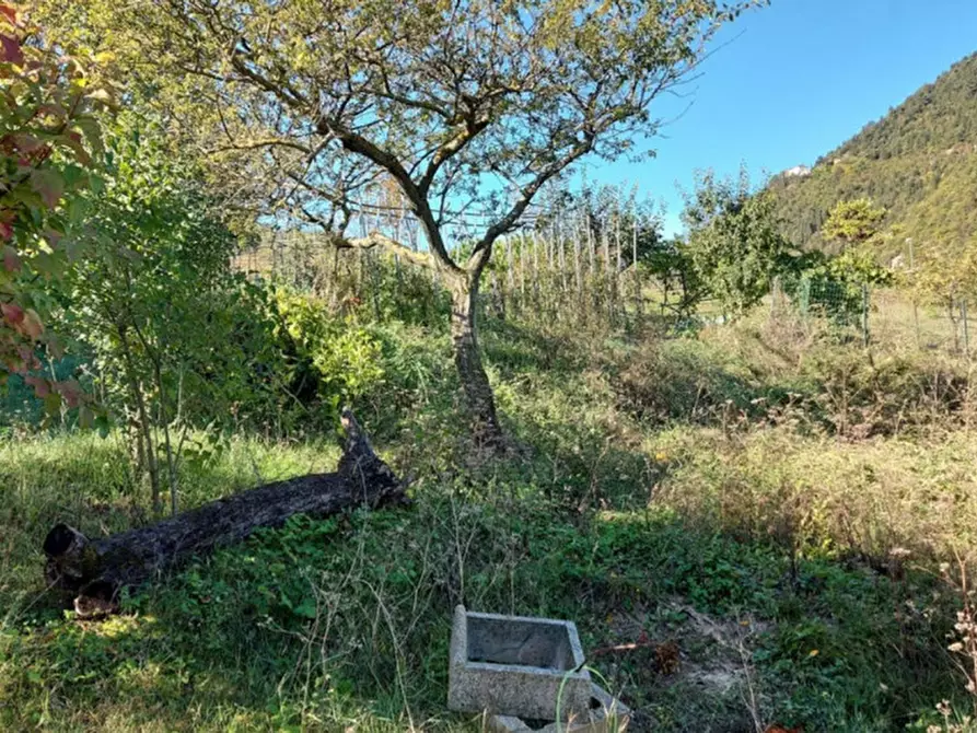 Immagine 8 di Terreno in vendita  in Via Mazzini, N. snc a Muccia