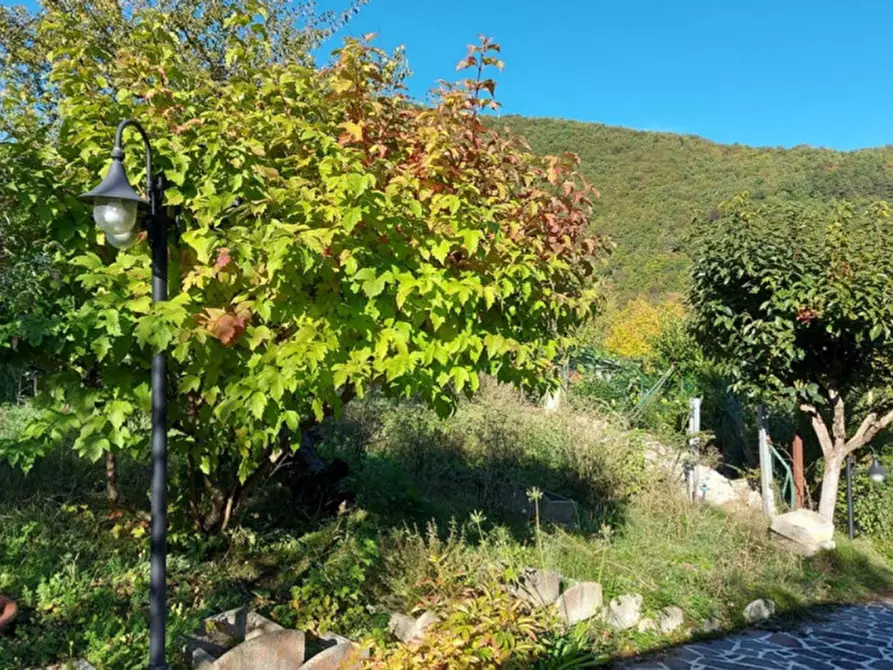 Immagine 9 di Terreno in vendita  in Via Mazzini, N. snc a Muccia