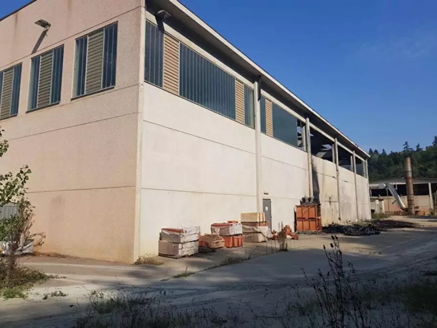 Immagine 4 di Capannone industriale in vendita  in Via Poggio, N. snc a Portacomaro