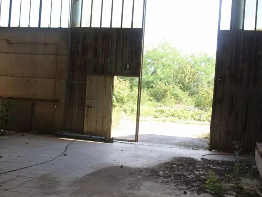 Immagine 5 di Capannone industriale in vendita  in Via Enrico Mattei, N. 91 a Asciano